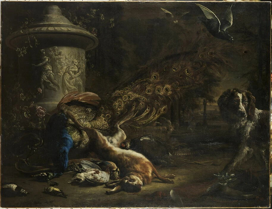 Nature morte au paon et au chien - Jan Weenix