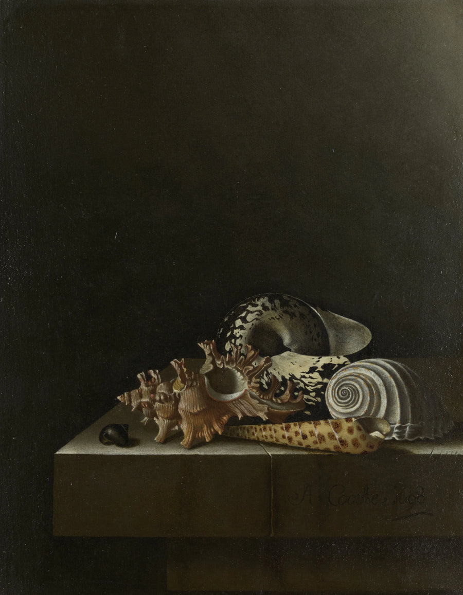 Nature morte aux coquillages sur un socle en pierre - Adriaen Coorte