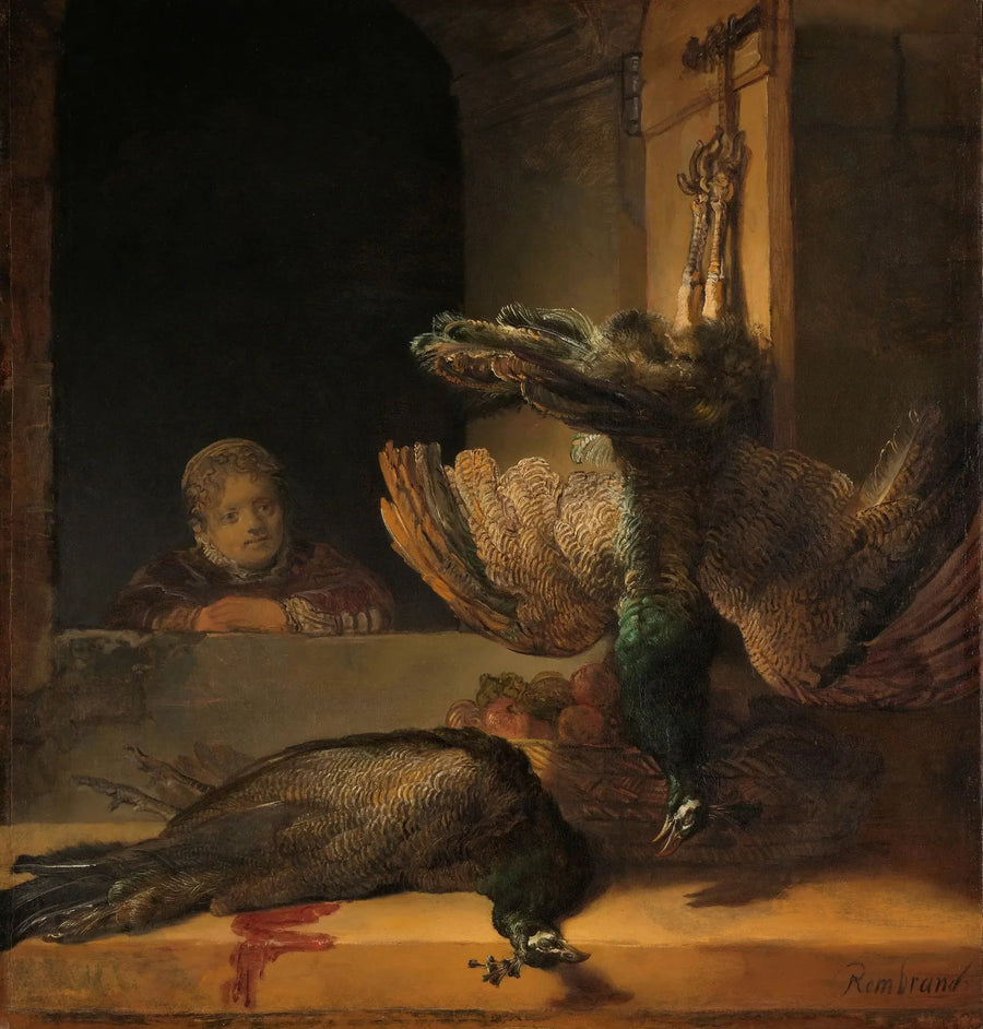 Nature morte aux paons - Rembrandt