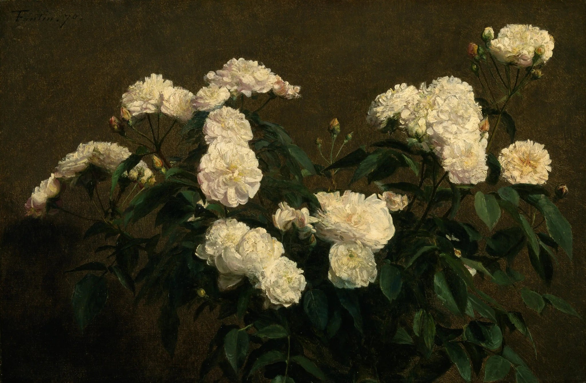 Nature morte aux roses blanches - Henri Fantin-Latour image 1 reproduction de peinture à l’huile