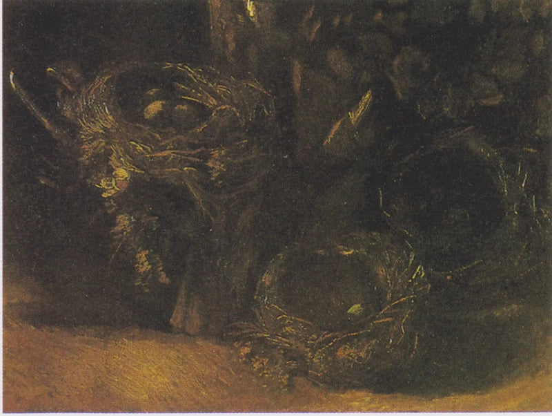 Nature morte aux trois nids d'oiseaux - Vincent van Gogh
