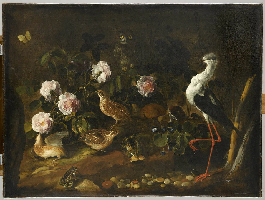 Nature morte avec des cailles, un hibou et une échasse blanche - Paolo Porpora