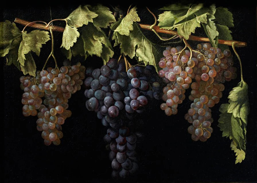 Nature morte avec grappes de raisin - Juan Fernández el Labrador