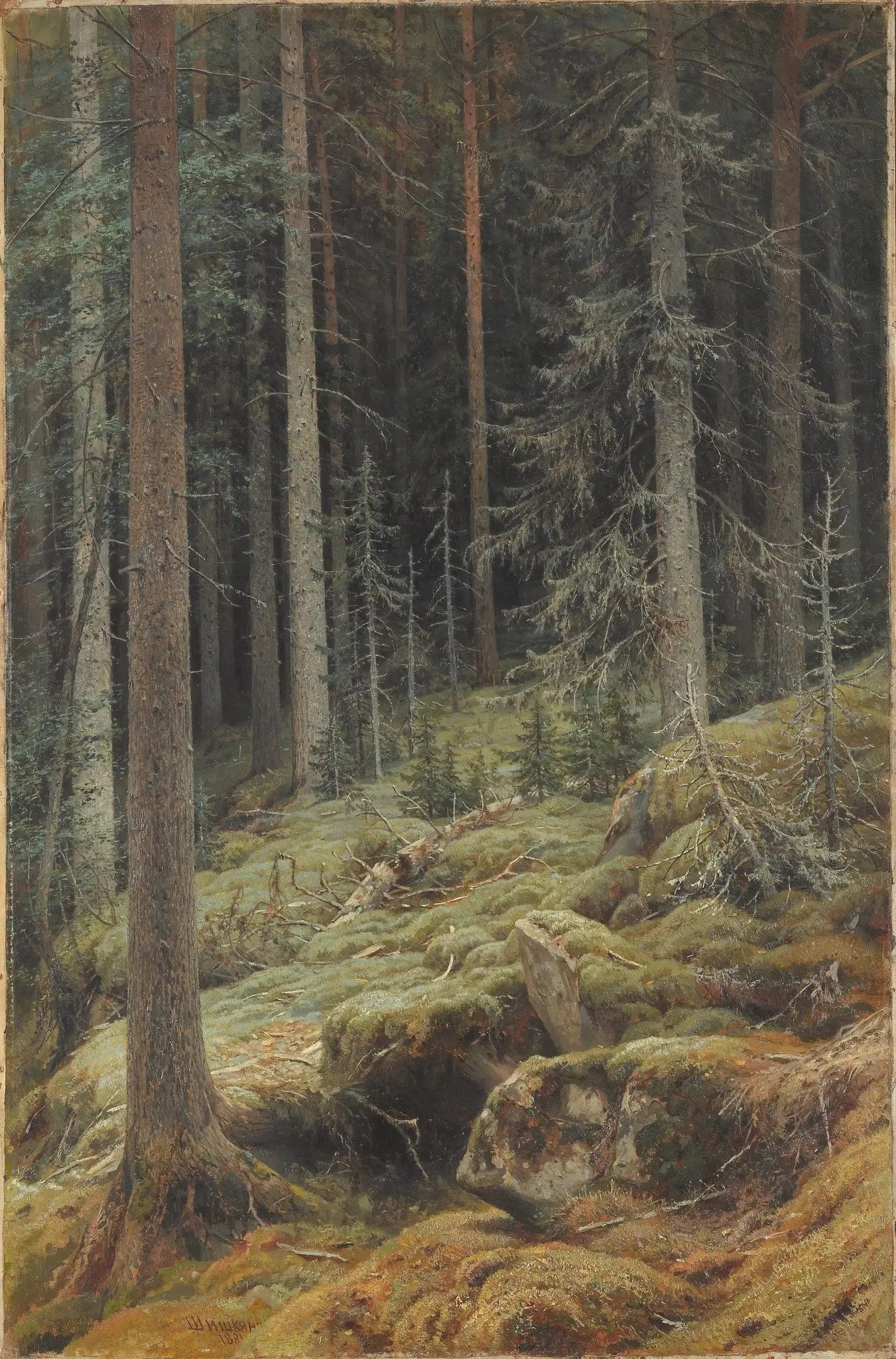 Natures sauvages - Ivan Chichkine image 1 reproduction de peinture à l’huile