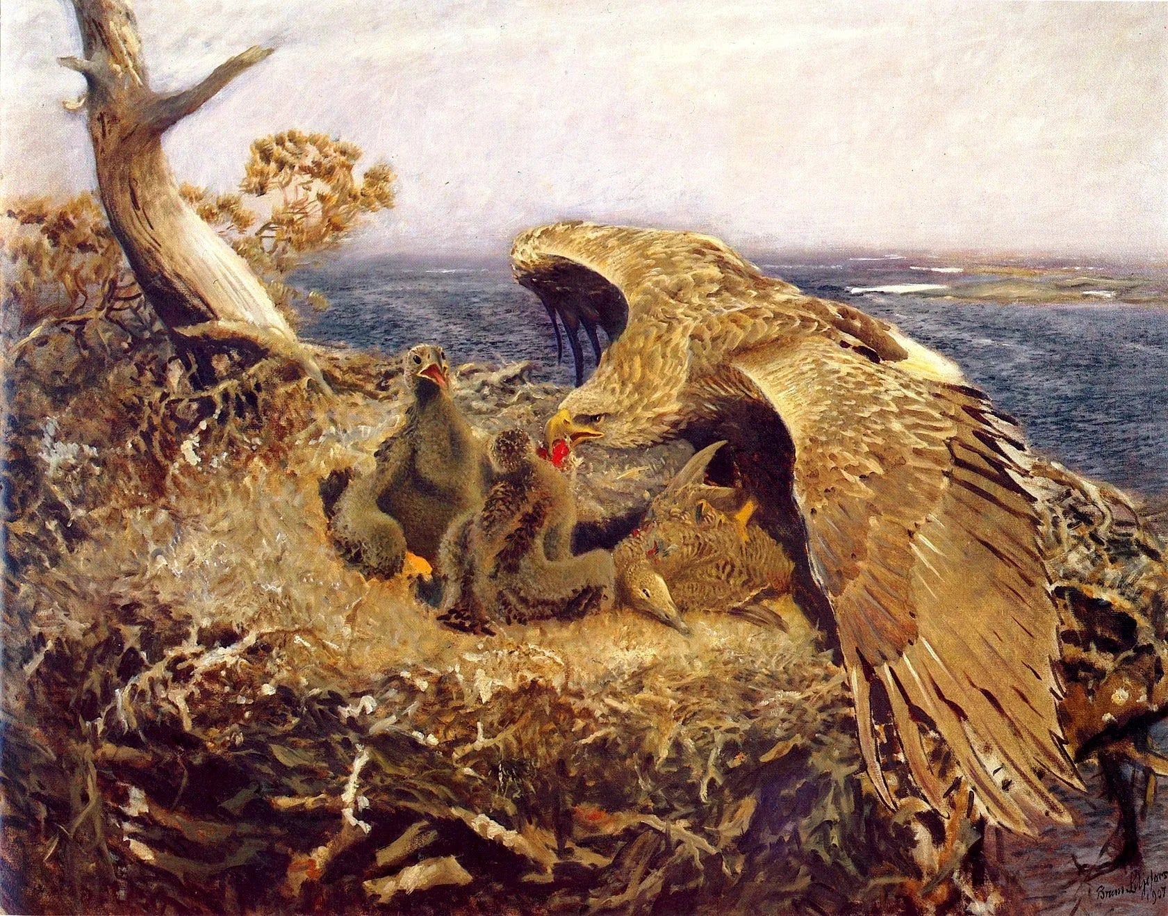 Nid d'aigle de mer - Bruno Liljefors image 1 reproduction réalisée par Alpha Reproduction