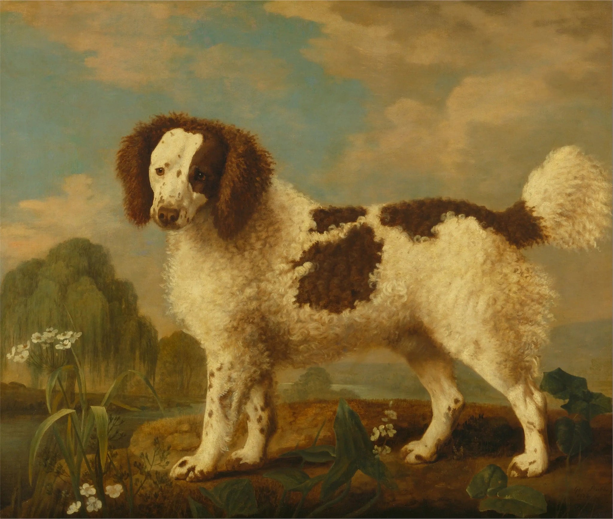 Norfolk ou Water Spaniel brun et blanc - George Stubbs image 1 copie de tableau peinte à la main