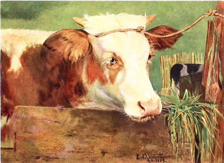 Novilho - Eliseu Visconti image 1 reproduction artisanale de tableau