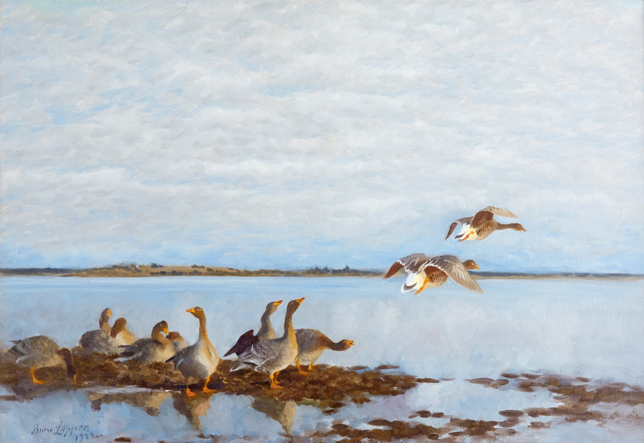 Oies - Bruno Liljefors image 1 reproduction d’œuvre d’art à l’huile