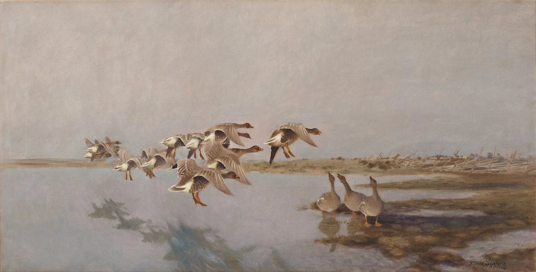 Oies cendrées - Bruno Liljefors image 1 tableau peint à l’huile sur toile