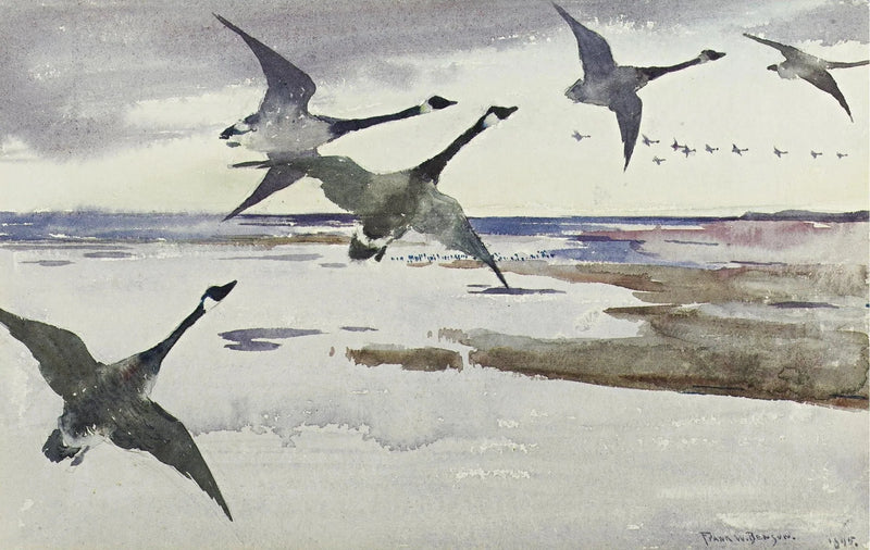 Oies du Canada - Frank Weston Benson
