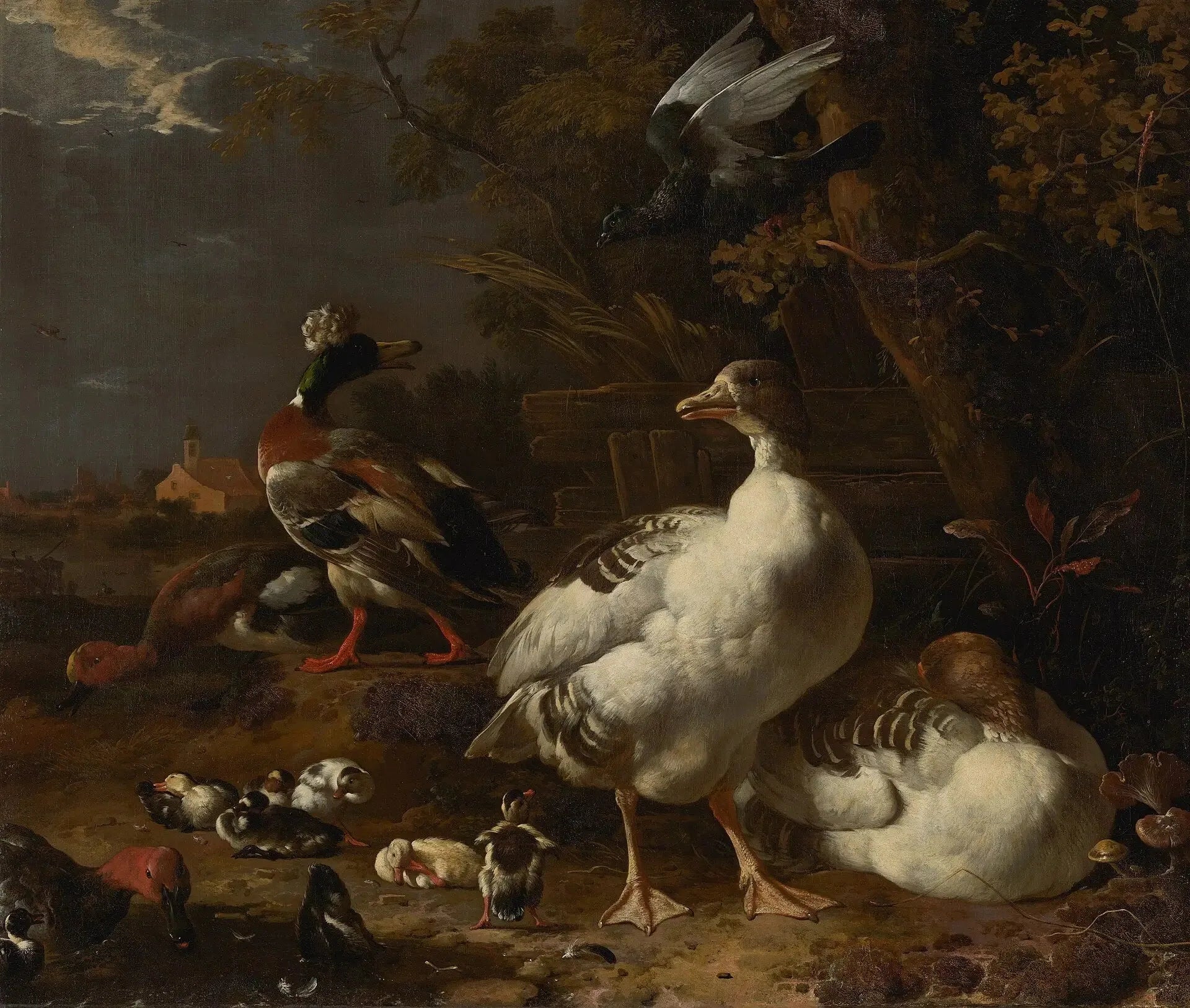 Oies et canards - Melchior de Hondecoeter image 1 reproduction de peinture à l’huile