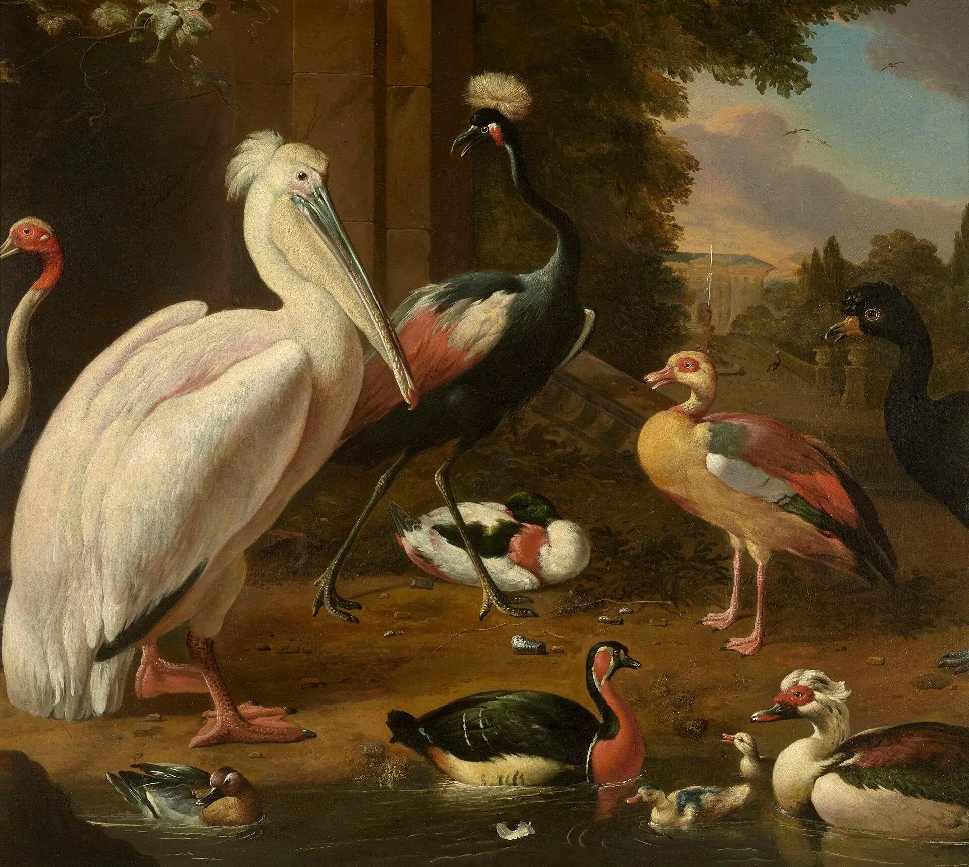 Oiseaux aquatiques - Melchior de Hondecoeter image 1 reproduction artisanale de tableau