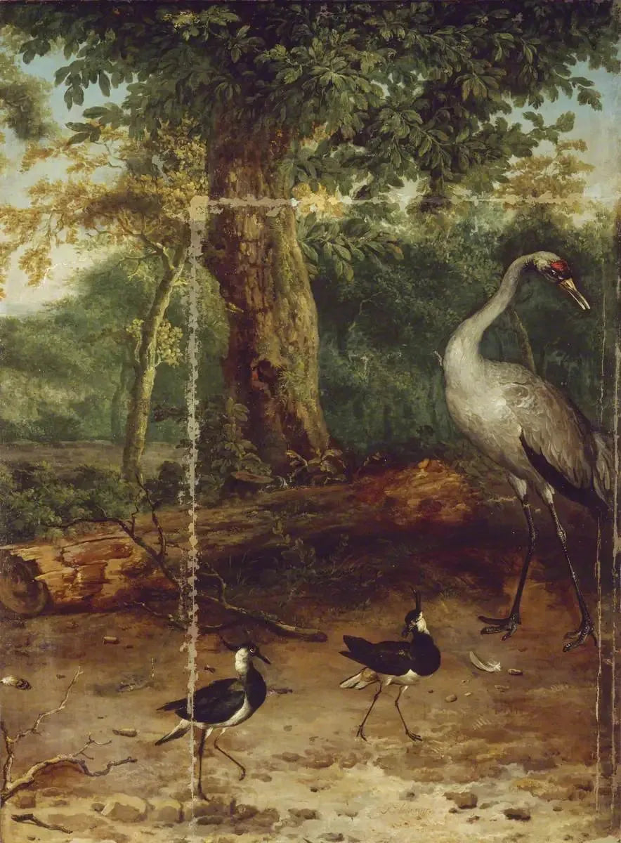 Oiseaux dans un bois - Melchior de Hondecoeter