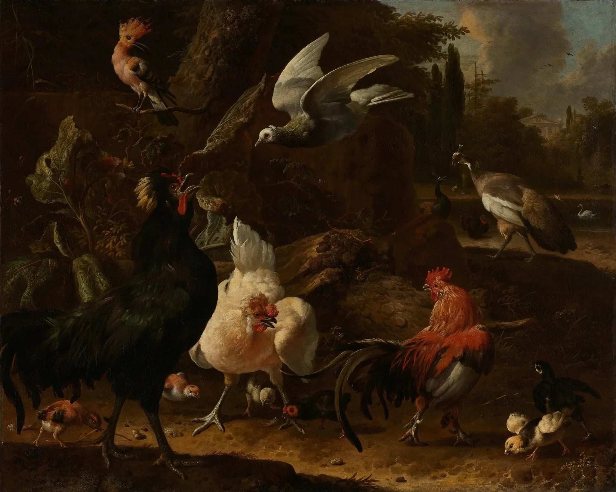 Oiseaux dans un parc - Melchior de Hondecoeter image 1 reproduction de peinture à l’huile