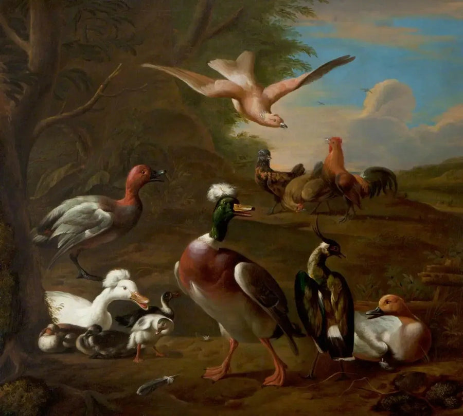 Oiseaux dans un paysage - Melchior de Hondecoeter