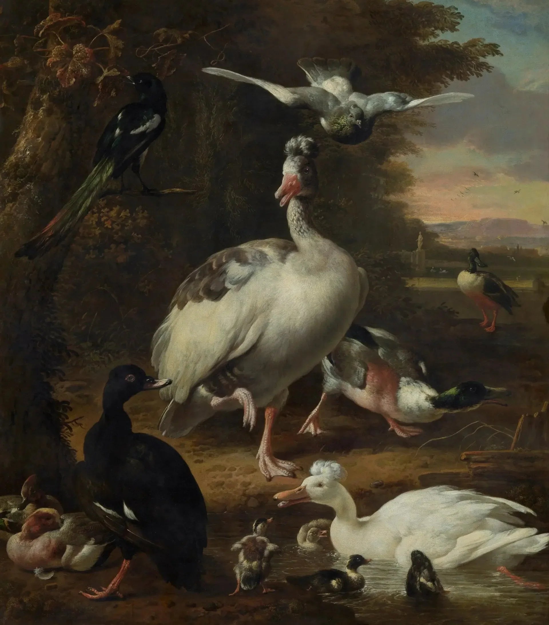 Oiseaux - Melchior de Hondecoeter image 1 tableau peint à l’huile sur toile