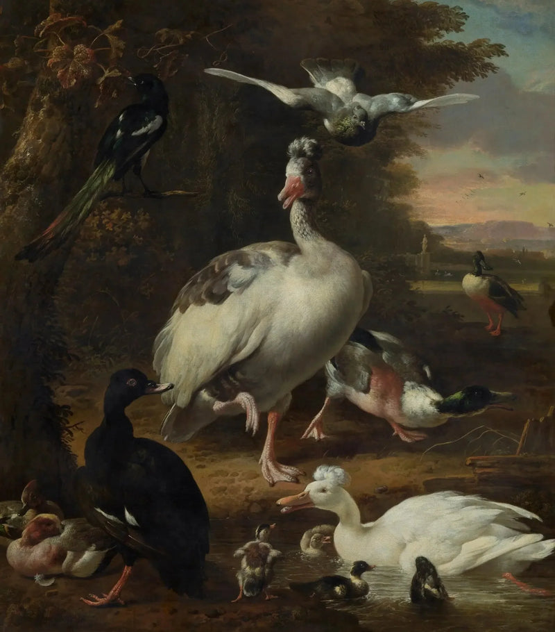 Oiseaux - Melchior de Hondecoeter