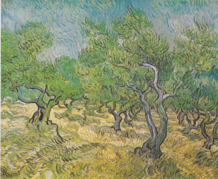 Oliveraie, F585 – Vincent van Gogh