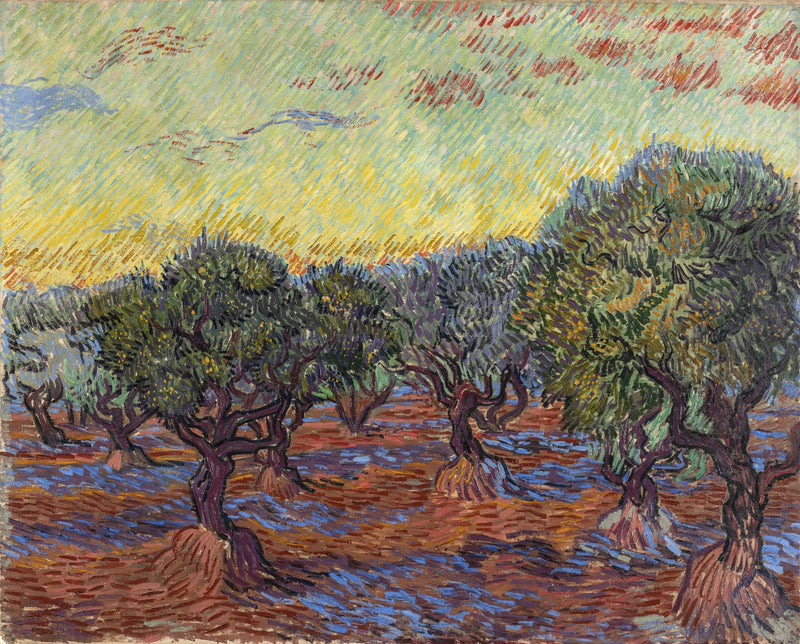 Oliveraie à Saint-Rémy – Vincent van Gogh