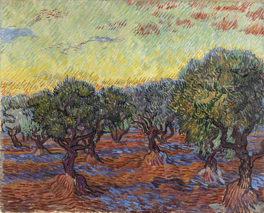 Oliveraie à Saint-Rémy – Vincent van Gogh