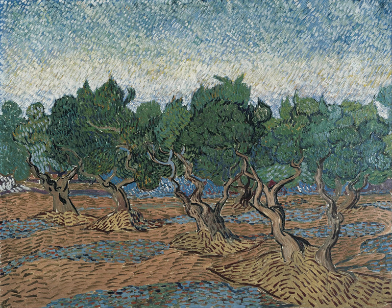 Oliveraie - Vincent van Gogh