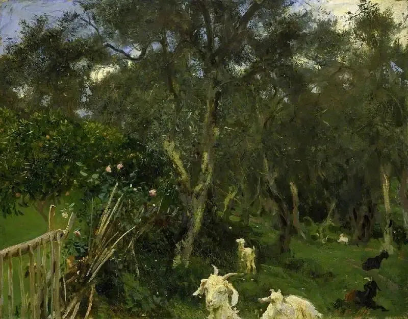 Olives à Corfou - John Singer Sargent image 1 reproduction de peinture à l’huile