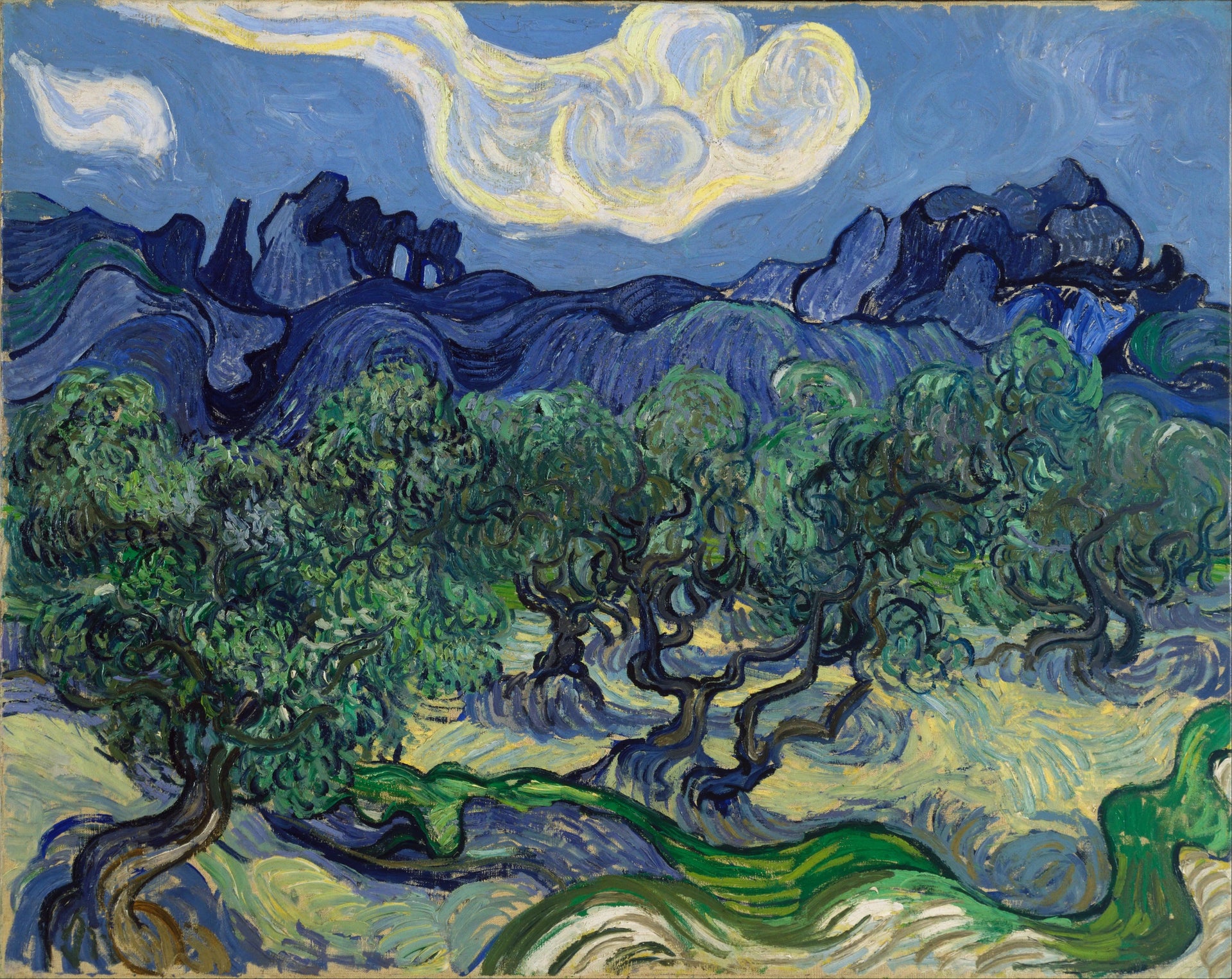 Les Oliviers avec les Alpilles F712 de Vincent van Gogh, Museum of Modern Art