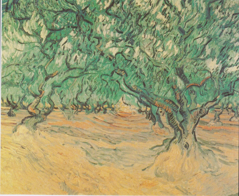 Oliviers - Vincent van Gogh