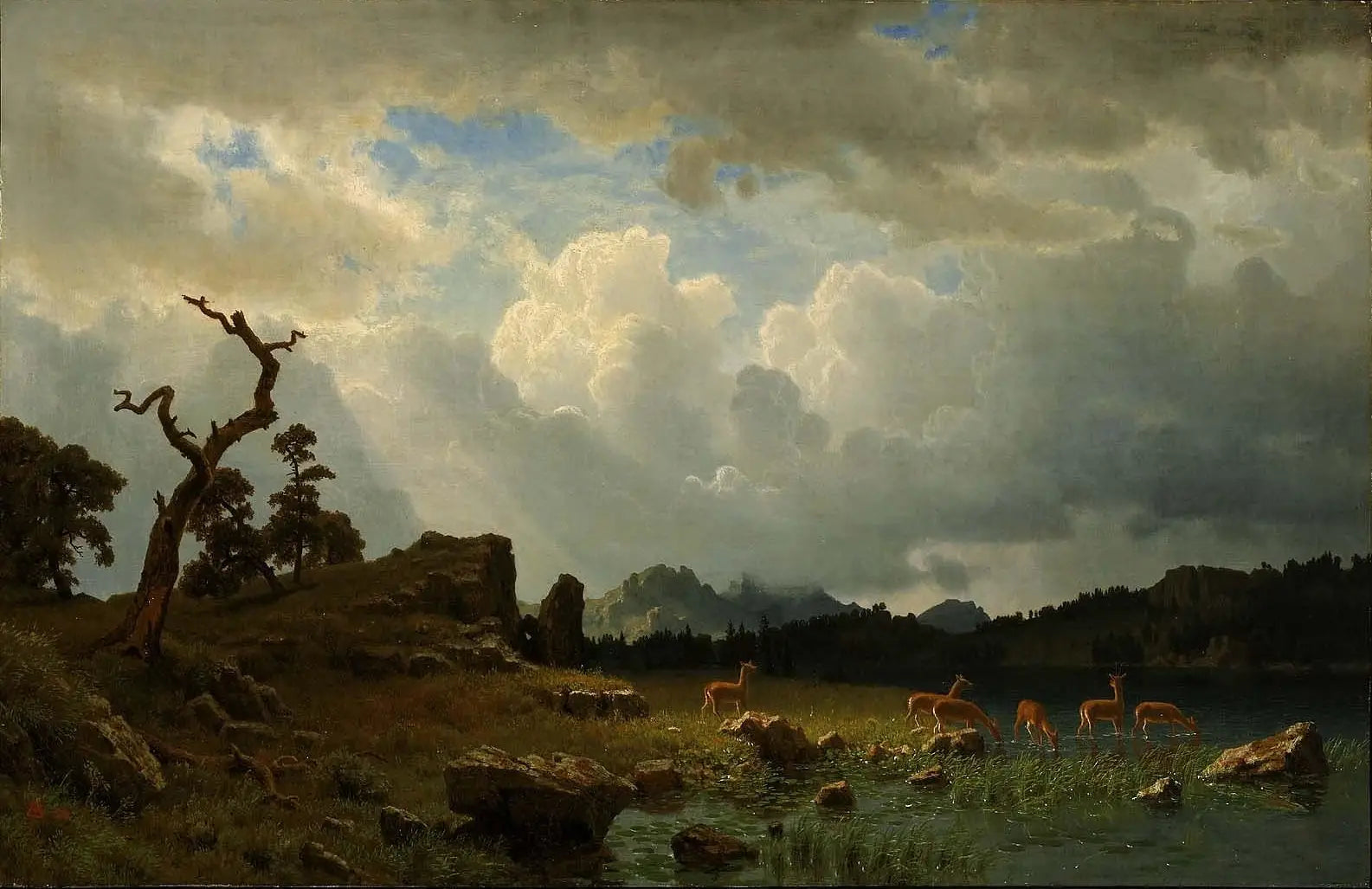 Orage dans les montagnes Rocheuses - Albert Bierstadt image 1 reproduction artisanale de tableau