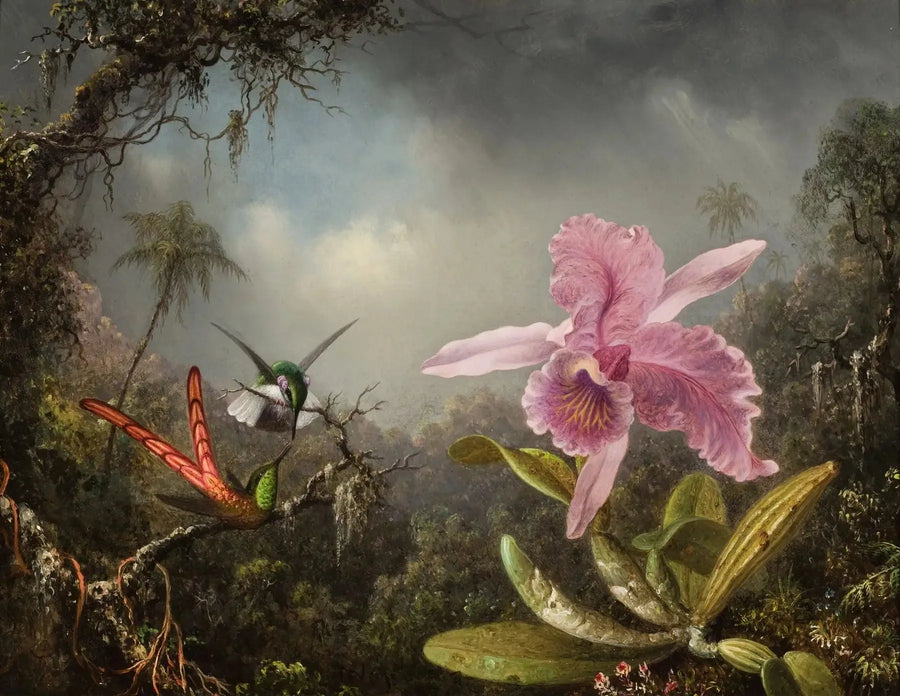 Orchidée avec deux colibris - Martin Johnson Heade