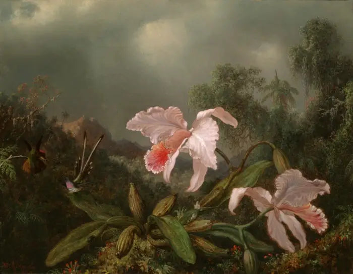 Orchidées de la jungle et colibris - Martin Johnson Heade image 1 tableau peint à l’huile sur toile