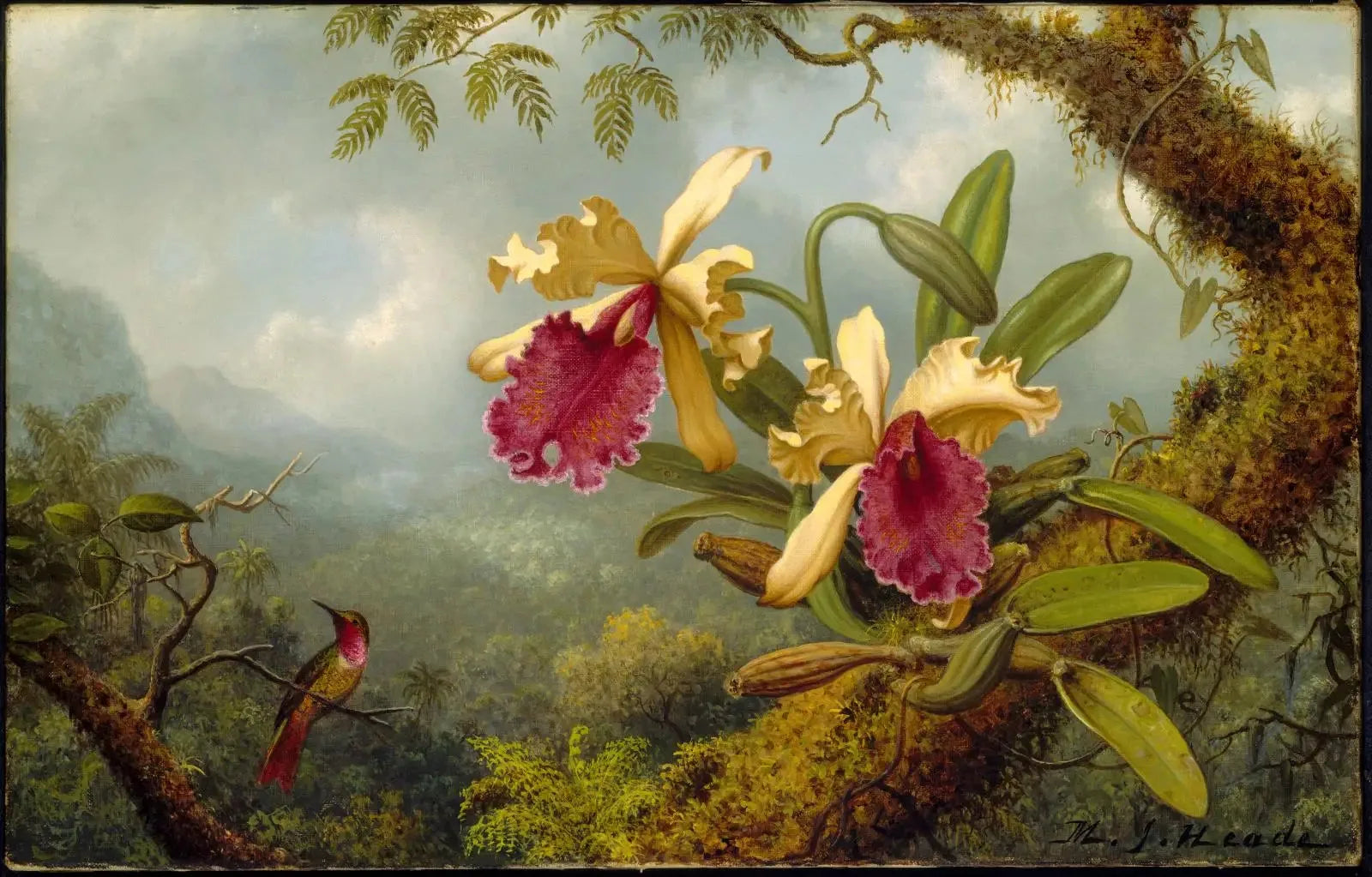 Orchidées et colibri - Martin Johnson Heade image 1 tableau peint à l’huile sur toile