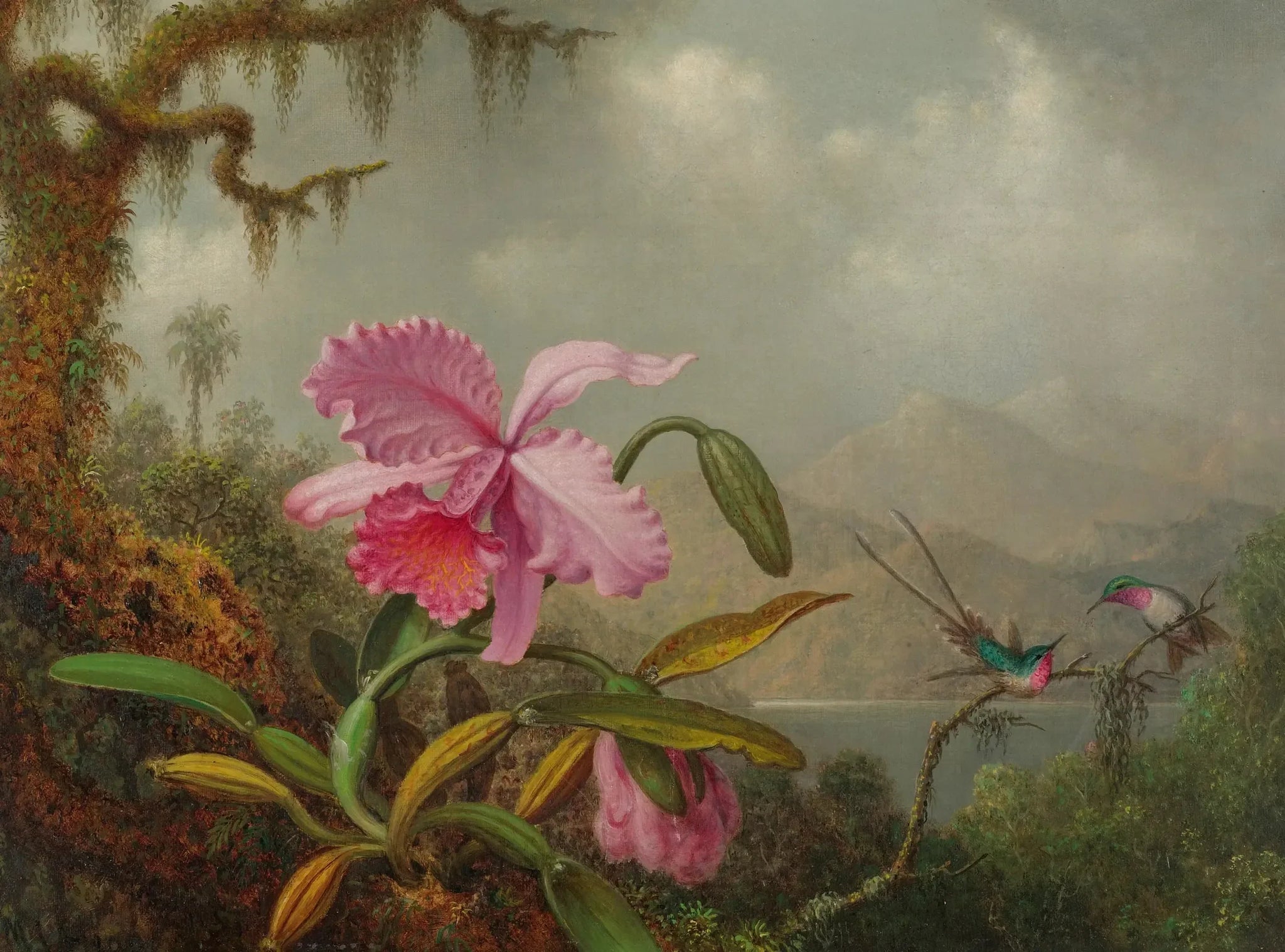 Orchidées et colibris - Martin Johnson Heade image 1 copie de tableau peinte à la main