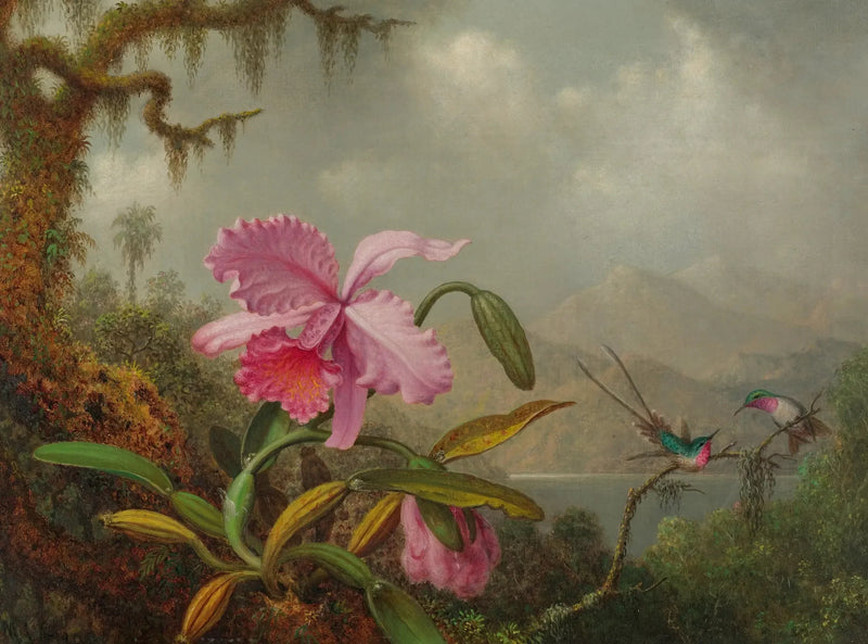 Orchidées et colibris - Martin Johnson Heade
