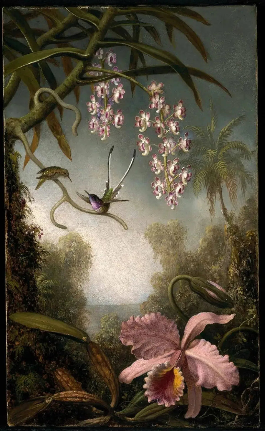 Orchidées et orchidées en spray avec colibri - Martin Johnson Heade