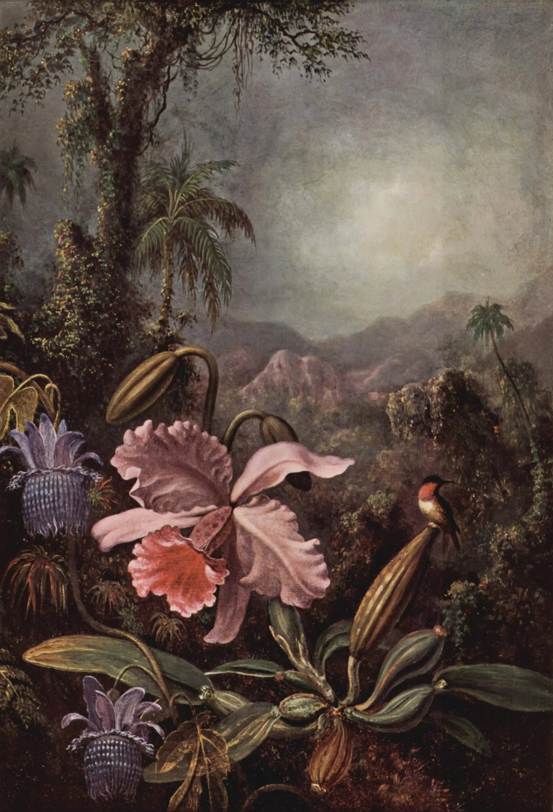 Orchidées, passiflores et colibris - Martin Johnson Heade image 1 tableau peint à l’huile sur toile