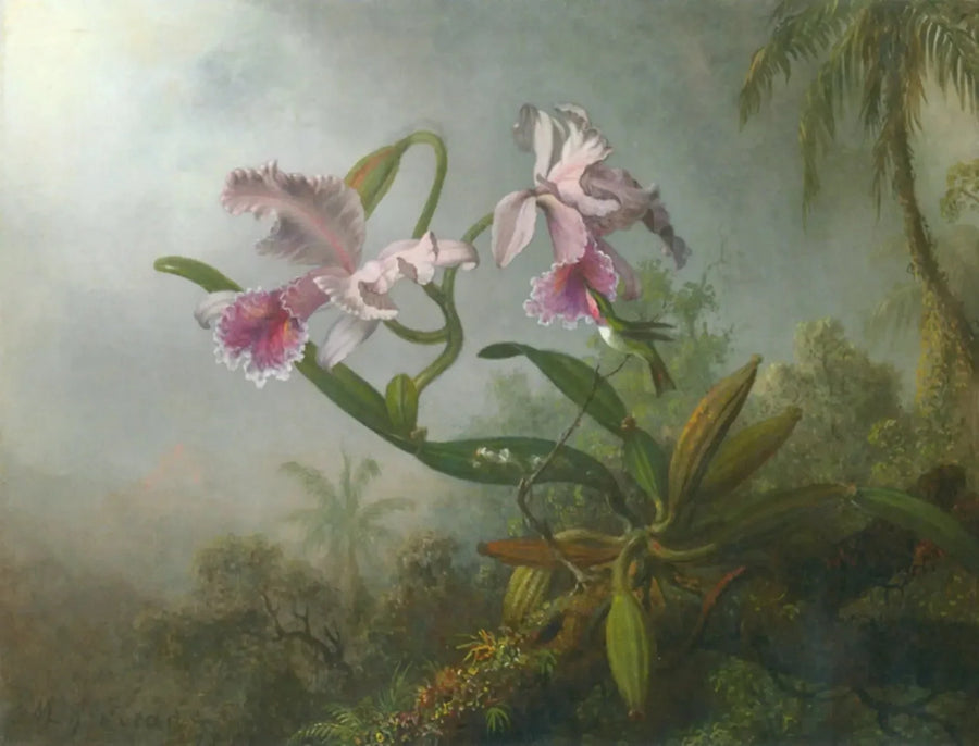 Orchidées roses et colibri sur une brindille - Martin Johnson Heade