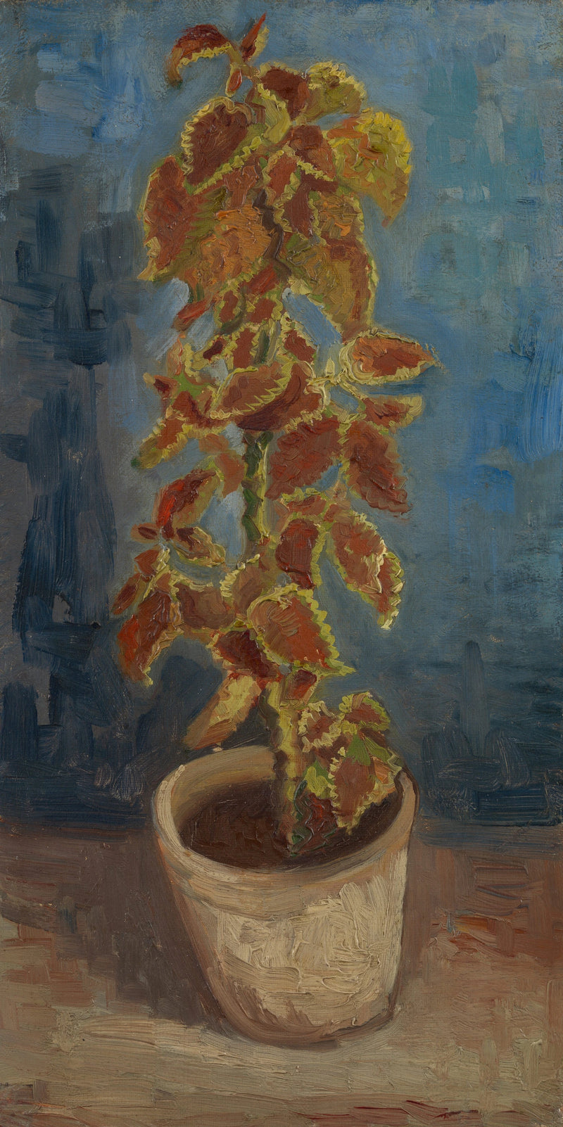 Ortie flamboyante en pot, F281 – Vincent van Gogh