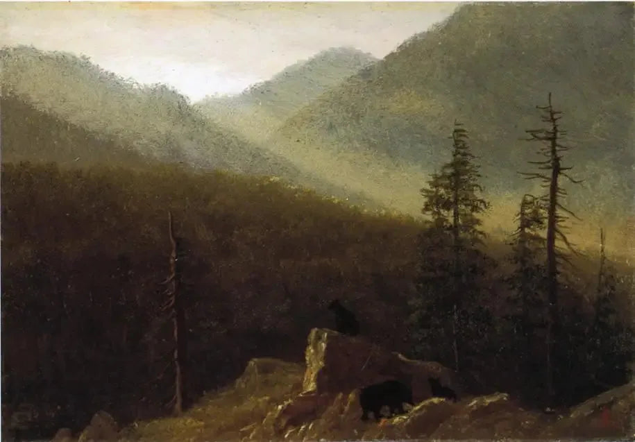 Ours dans la nature - Albert Bierstadt image 1 reproduction de peinture à l’huile