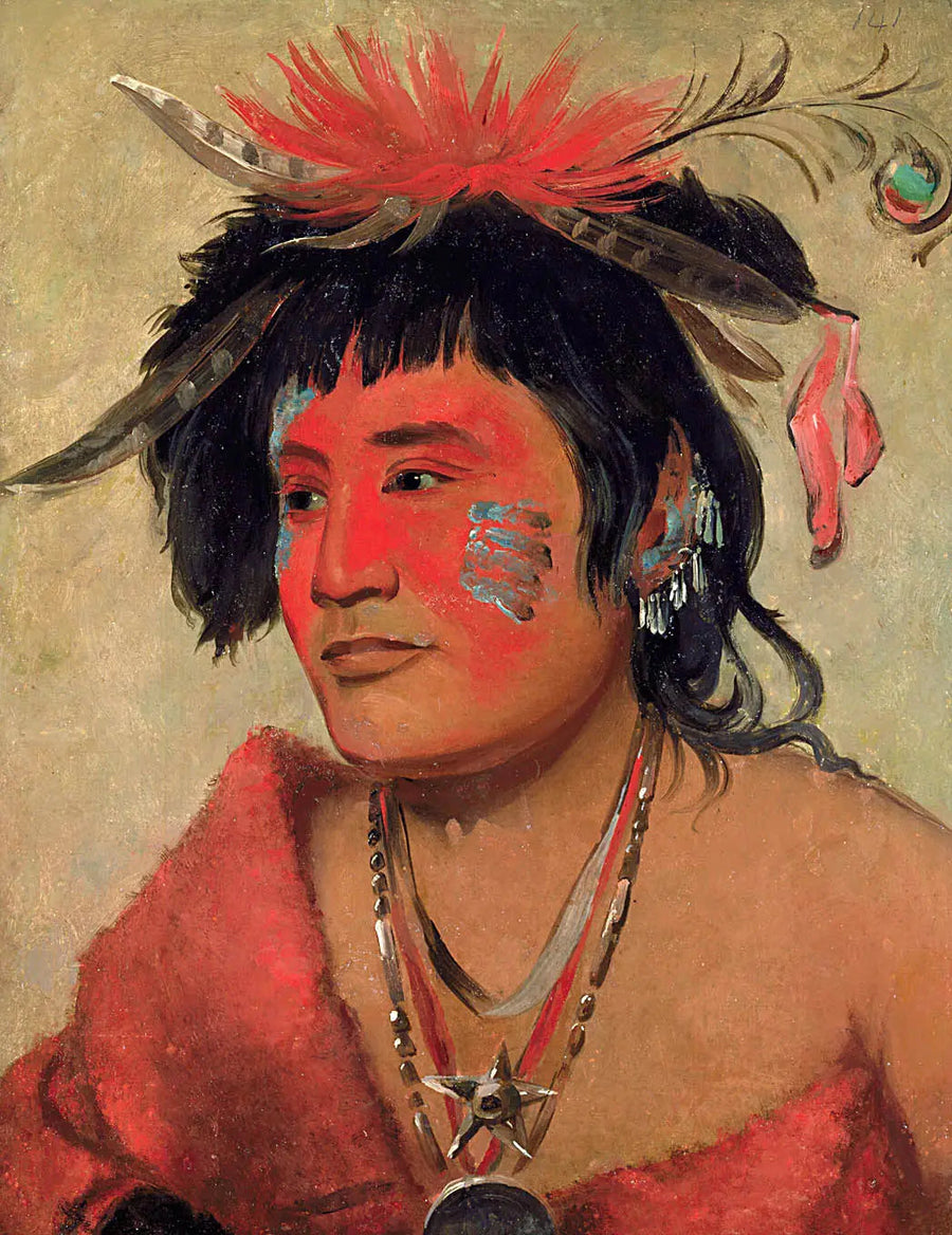 Pah-shee-náu-shaw, un guerrier - George Catlin