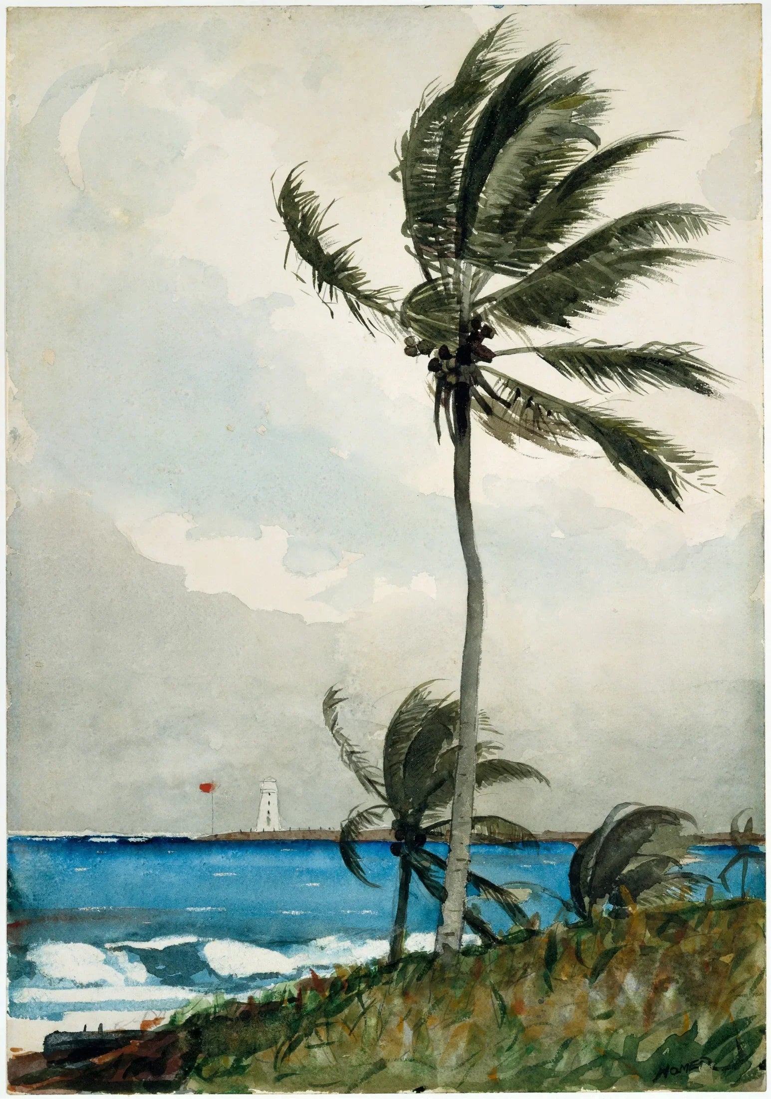 Palmier, Nassau - Winslow Homer image 1 reproduction de peinture à l’huile
