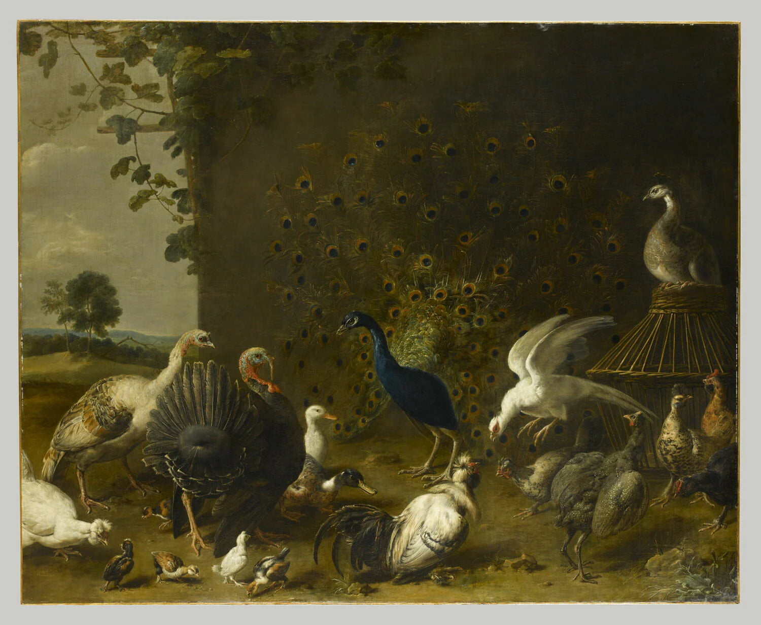 Paon et oiseaux de basse-cour - Adriaen van Utrecht
