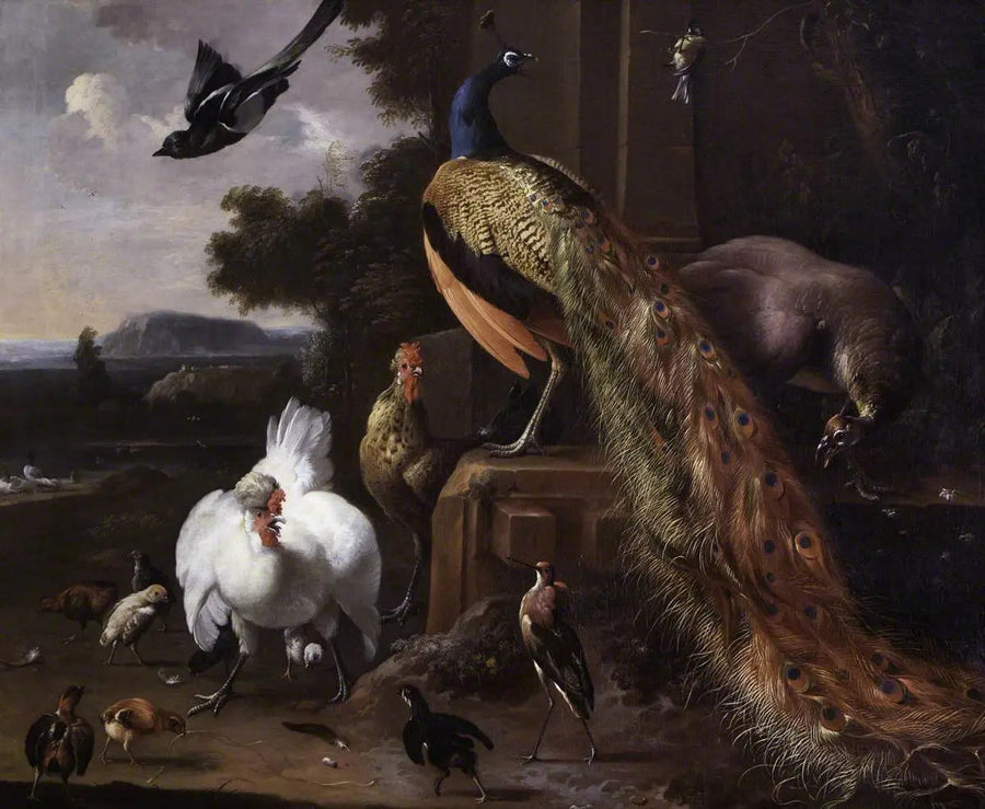 Paons et volailles de basse-cour avec une pie dans un paysage - Melchior de Hondecoeter