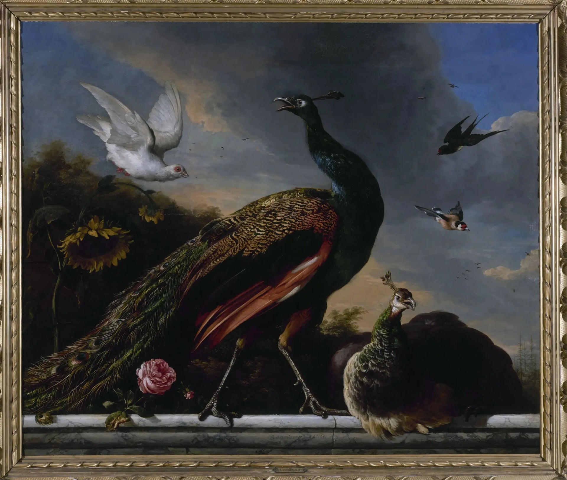 Paons, mâle et femelle - Melchior de Hondecoeter image 1 reproduction de peinture à l’huile