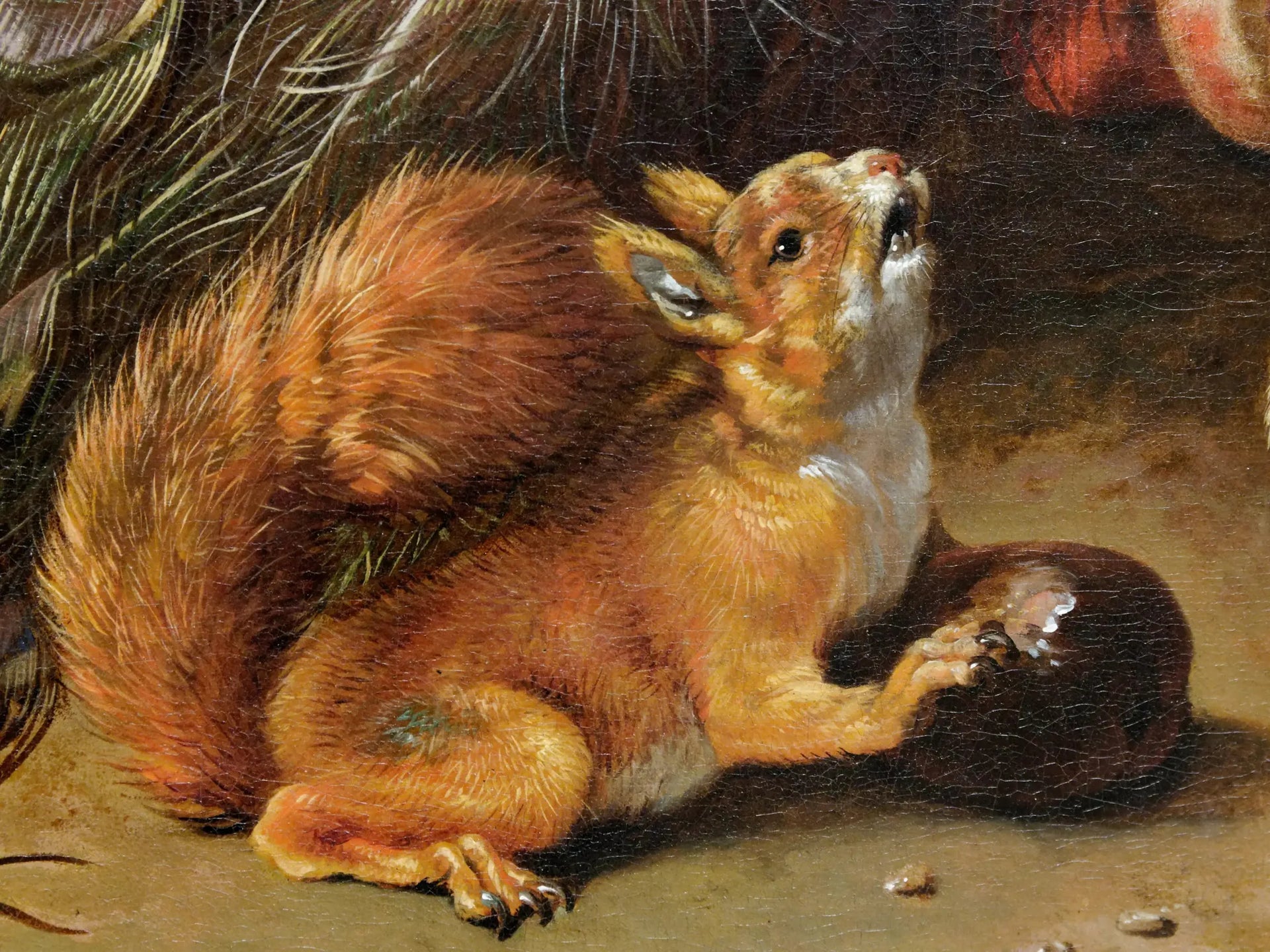 Paons - Melchior de Hondecoeter image 1 reproduction d’œuvre d’art à l’huile