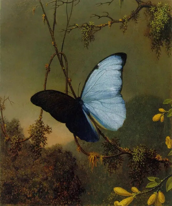 Papillon Morpho bleu - Martin Johnson Heade image 1 reproduction artisanale de tableau