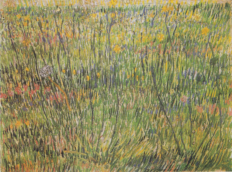 Pâturage en fleurs - Vincent van Gogh