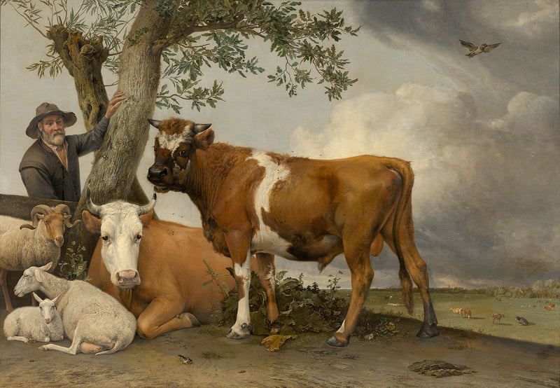 Jeune taureau dans un paysage - Paulus Potter