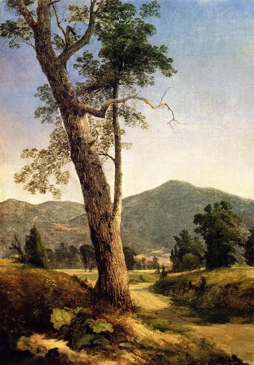 Paysage au-delà de l'arbre - Asher Brown Durand image 1 copie de tableau peinte à la main