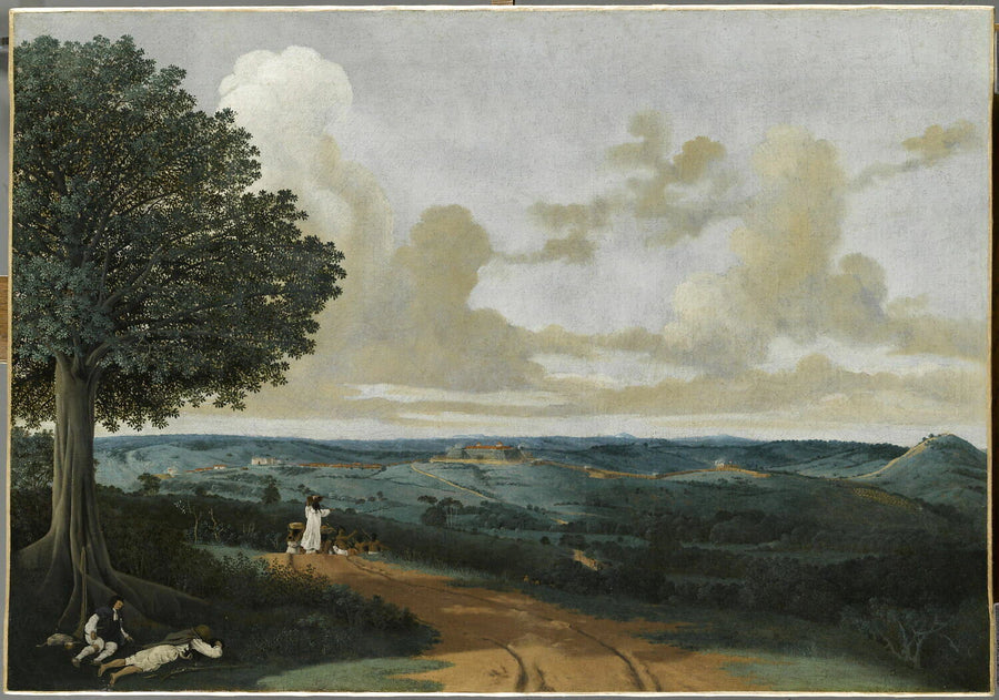 Paysage aux alentours de Porto Calvo au Brésil, avec un figuier au premier plan - Frans Post